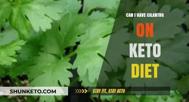 Is Cilantro Keto-Friendly? Benefits and Tips for Low-Carb Diets