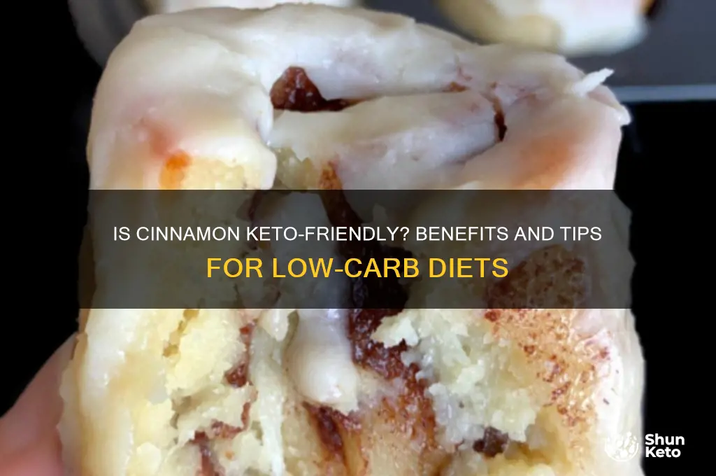 can i have cinnamon on keto diet
