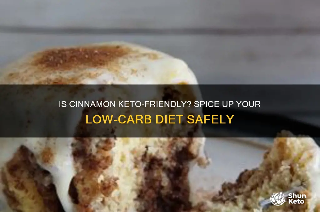 can i have cinnamon on keto