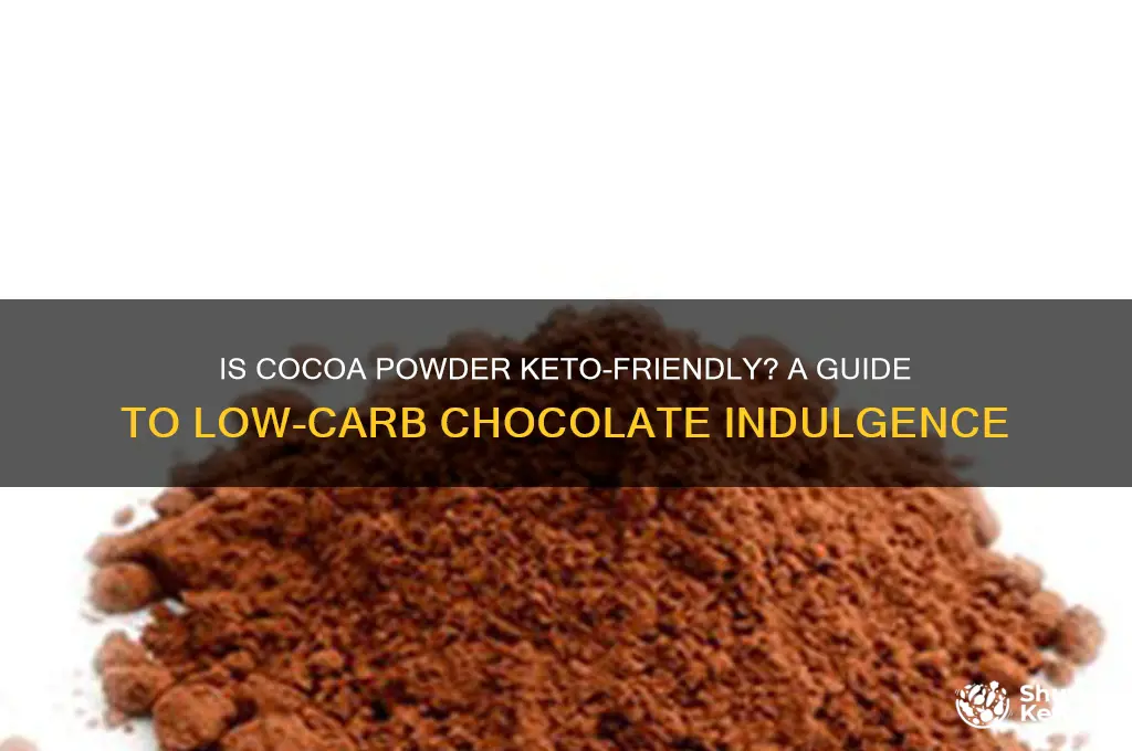 can i have cocoa powder on keto diet