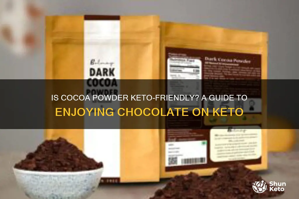 can i have cocoa powder on keto