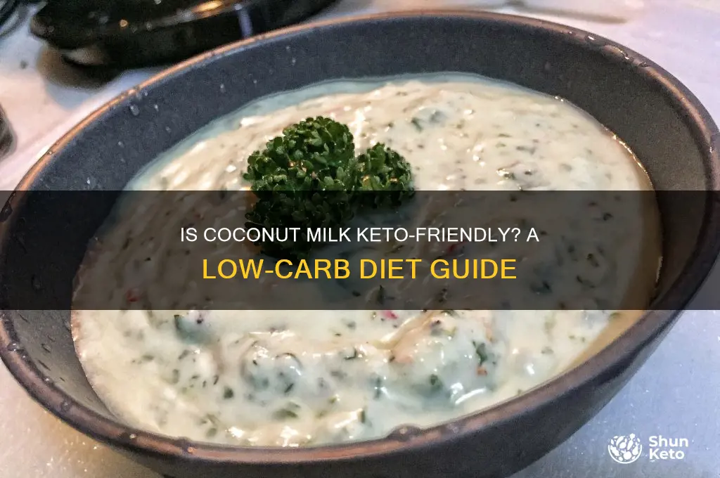 can i have coconut milk on keto