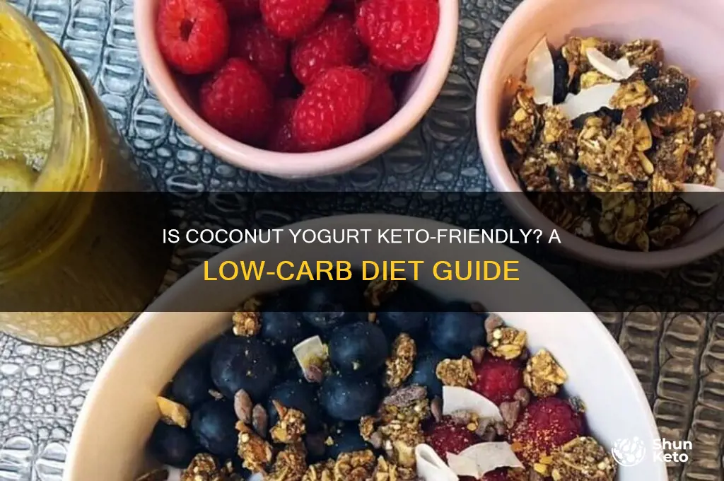 can i have coconut yogurt on keto
