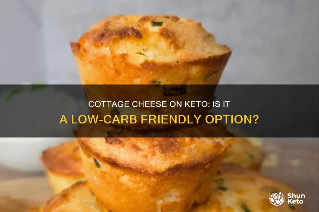 can i have cottage cheese on a keto diet