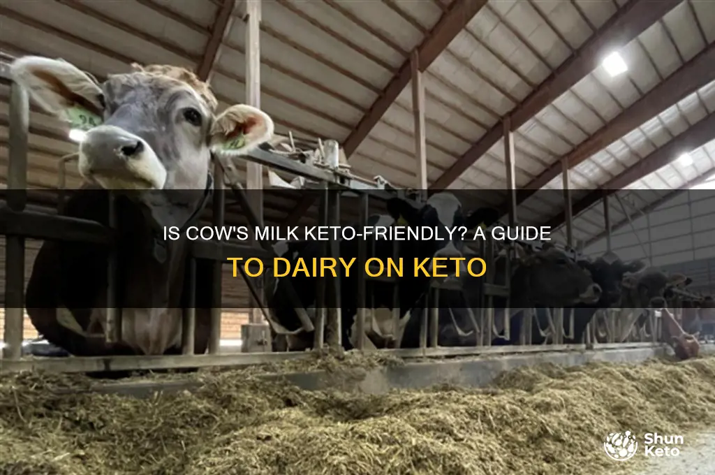 can i have cows milk on keto