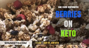 Keto-Friendly Snacking: Are Dehydrated Berries a Low-Carb Option?