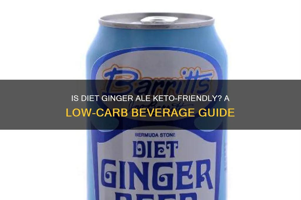 can i have diet ginger ale on keto