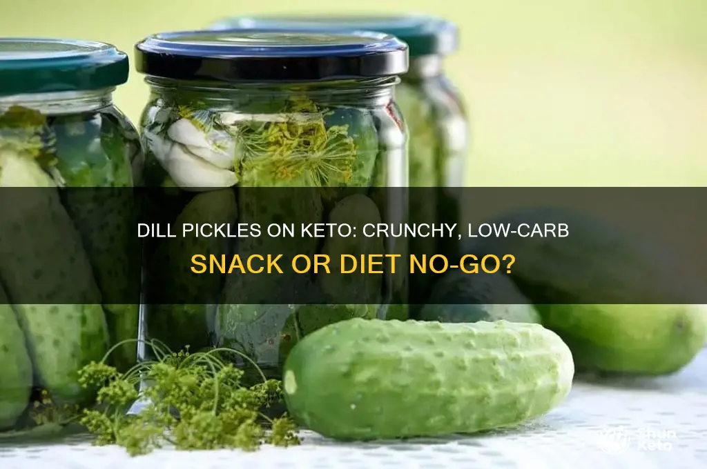 can i have dill pickles on a keto diet