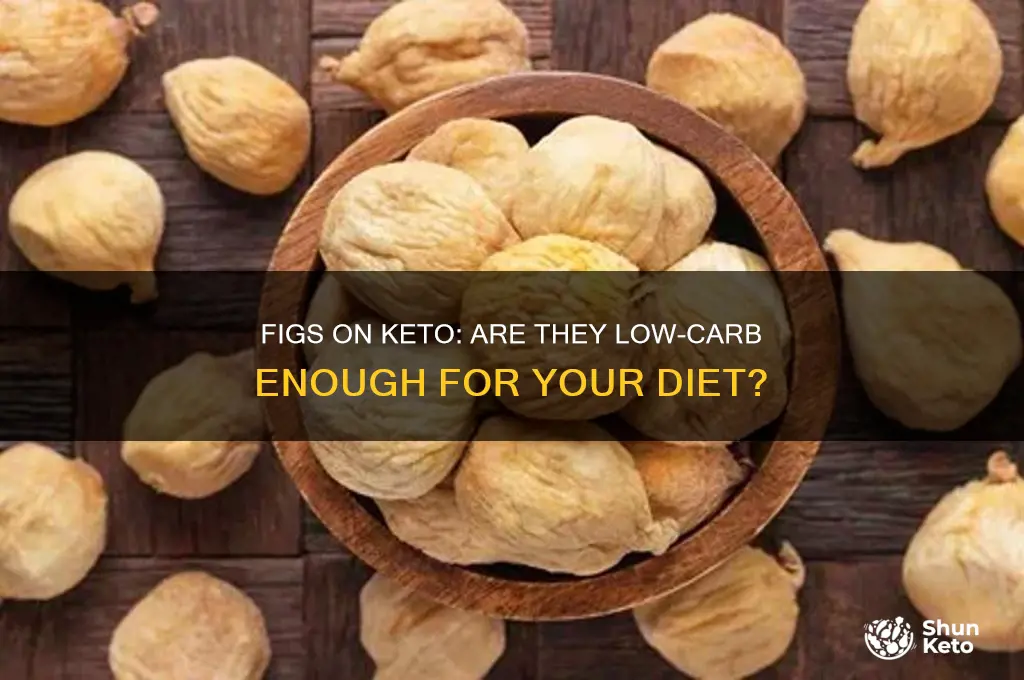can i have figs on keto