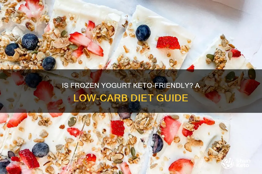 can i have frozen yogurt on keto diet