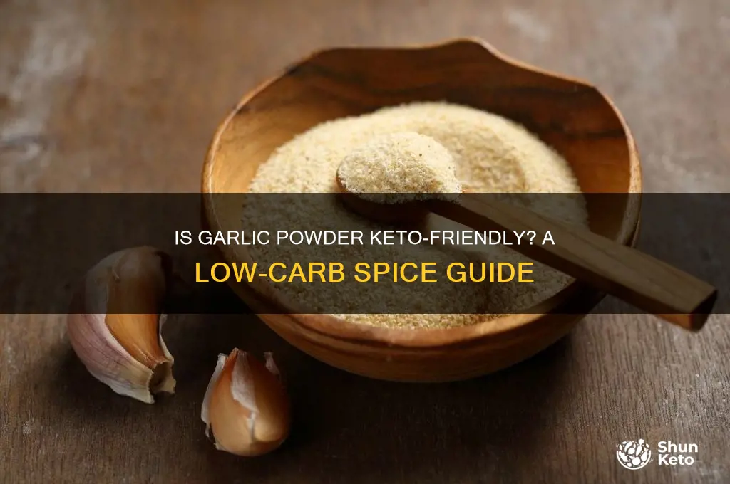 can i have garlic powder on keto