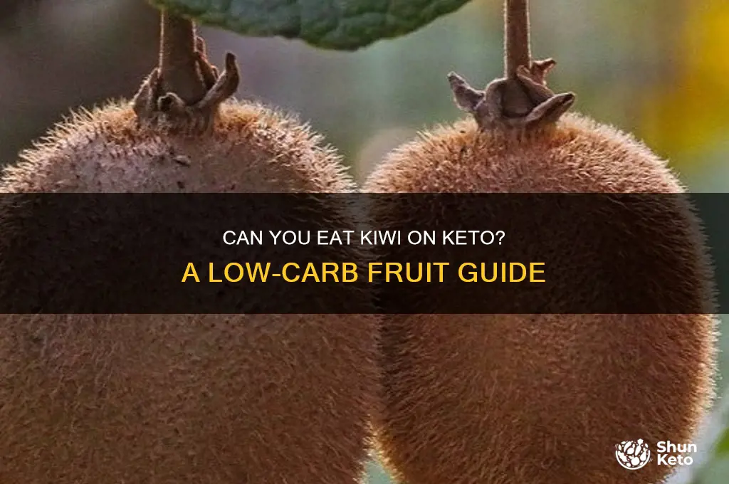 can i have kiwi on keto