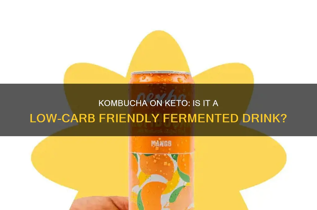 can i have kombucha on keto diet