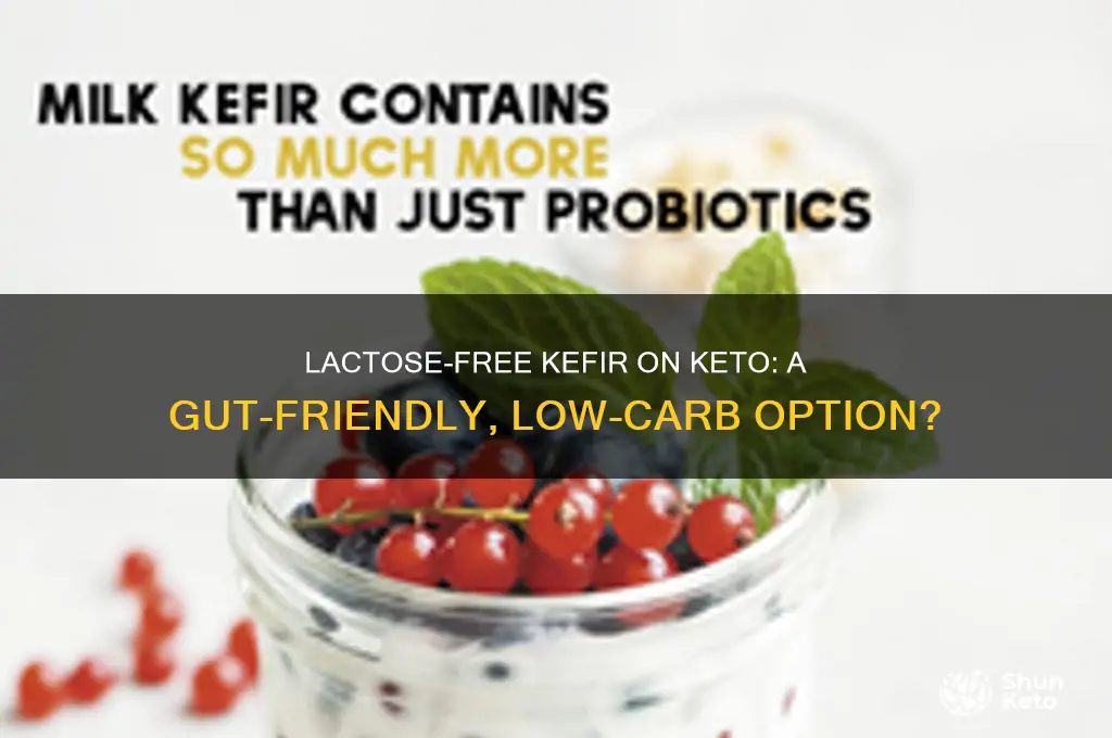 can i have lactose free kefir on keto