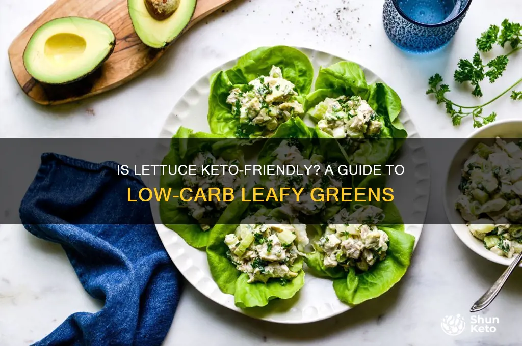 can i have lettuce on the keto diet