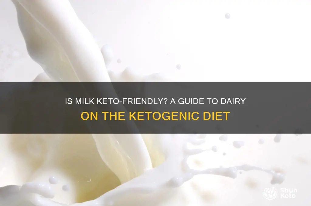 can i have milk in keto