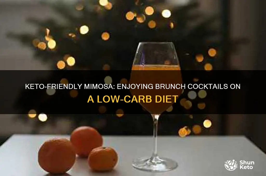 can i have mimosa on keto