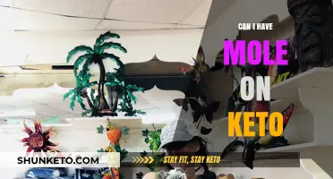 Can You Enjoy Mole Sauce While Staying in Ketosis?