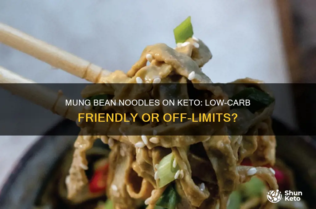 can i have mung bean noodles on keto