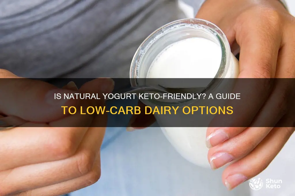 can i have natural yogurt on keto