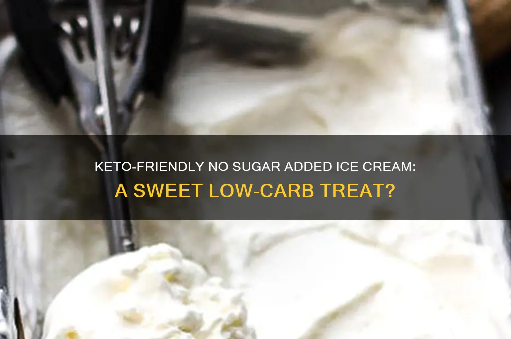 can i have no sugar added ice cream on keto