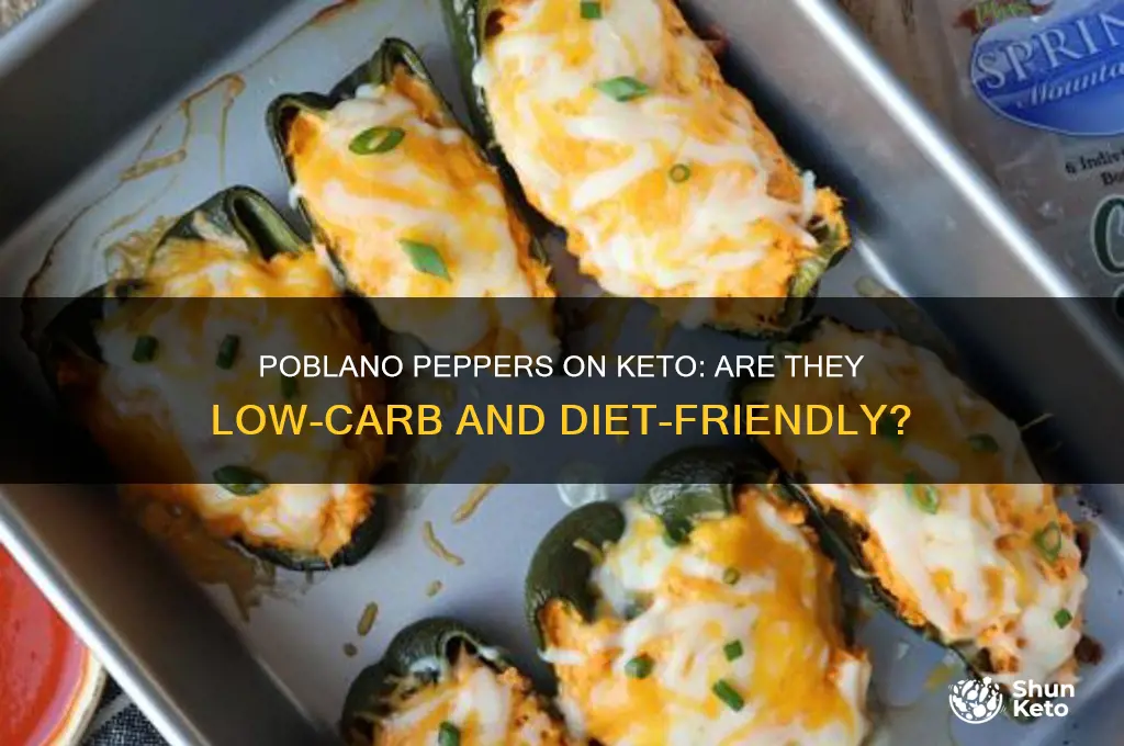 can i have poblano peppers on keto
