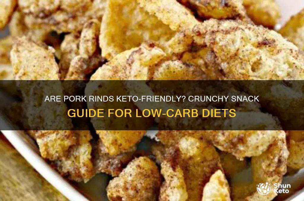can i have pork rinds on keto