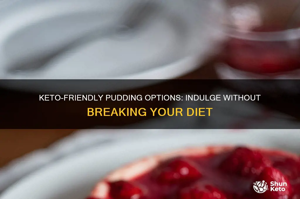 can i have pudding on keto
