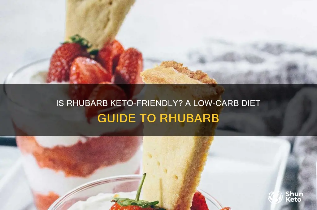 can i have rhubarb on keto