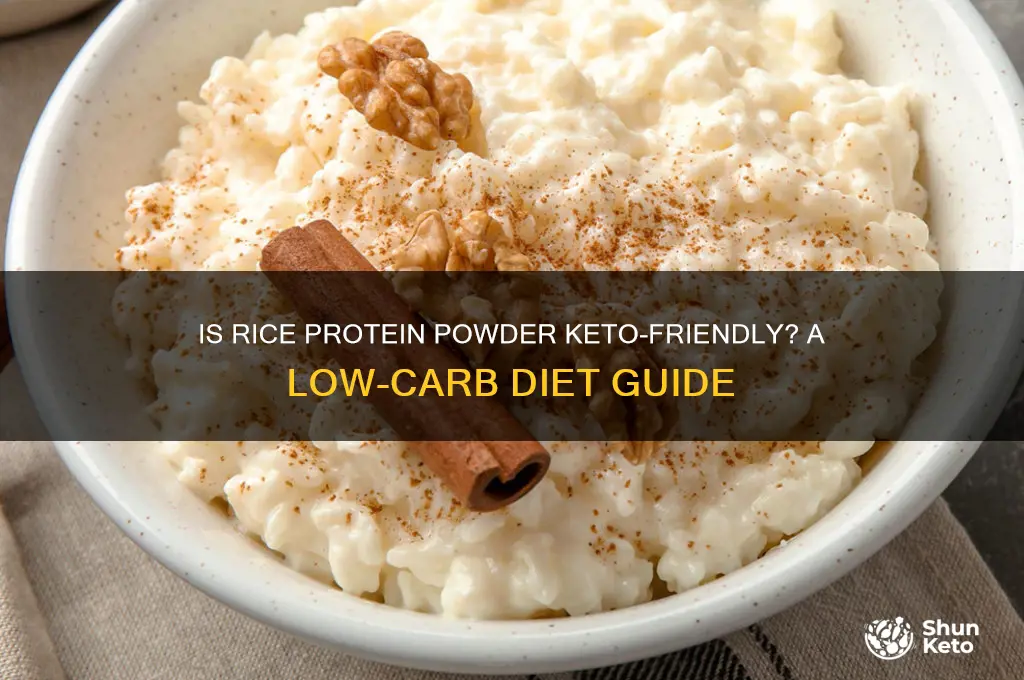 can i have rice protein powder on keto