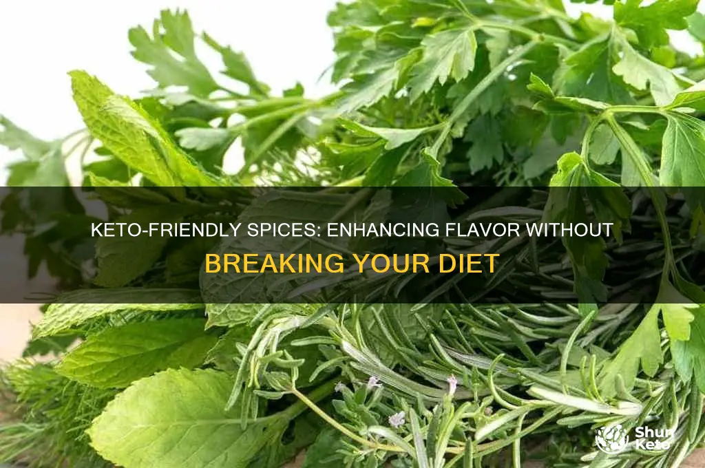 can i have spices on keto