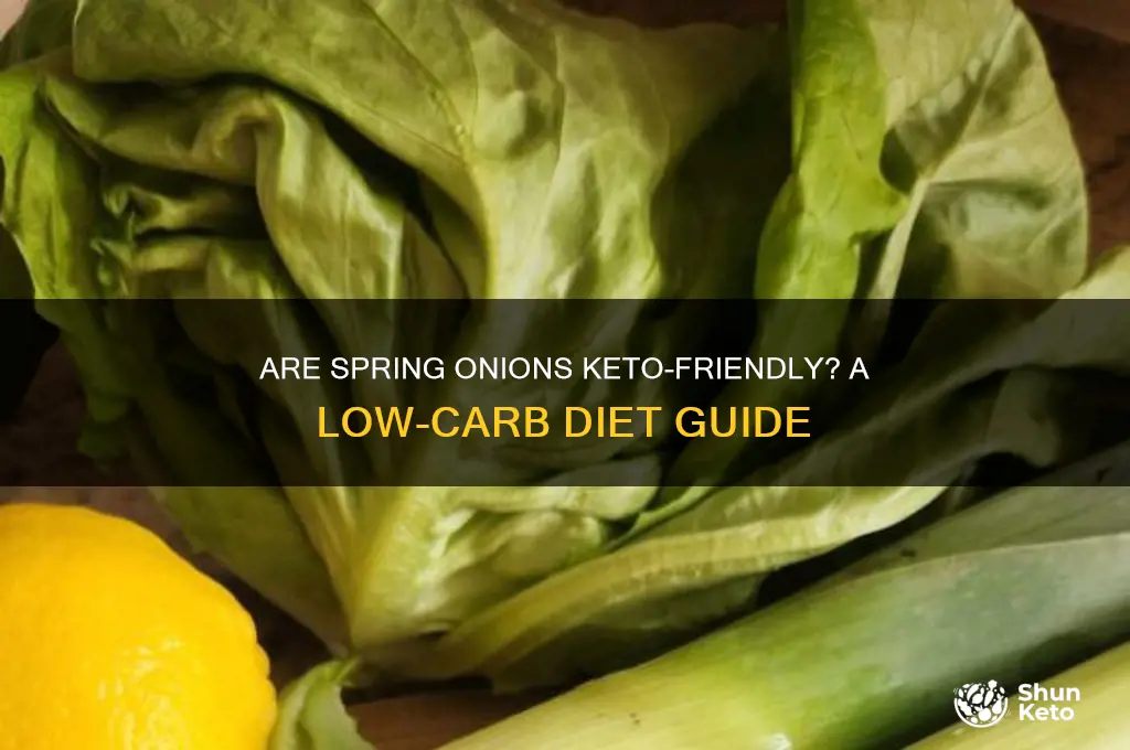 can i have spring onions on keto