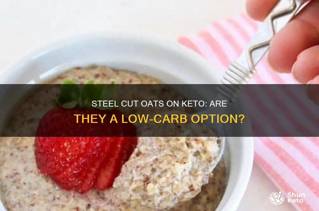 can i have steel cut oats on keto diet