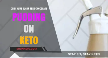 Keto-Friendly Dessert: Enjoying Sugar-Free Chocolate Pudding on a Low-Carb Diet