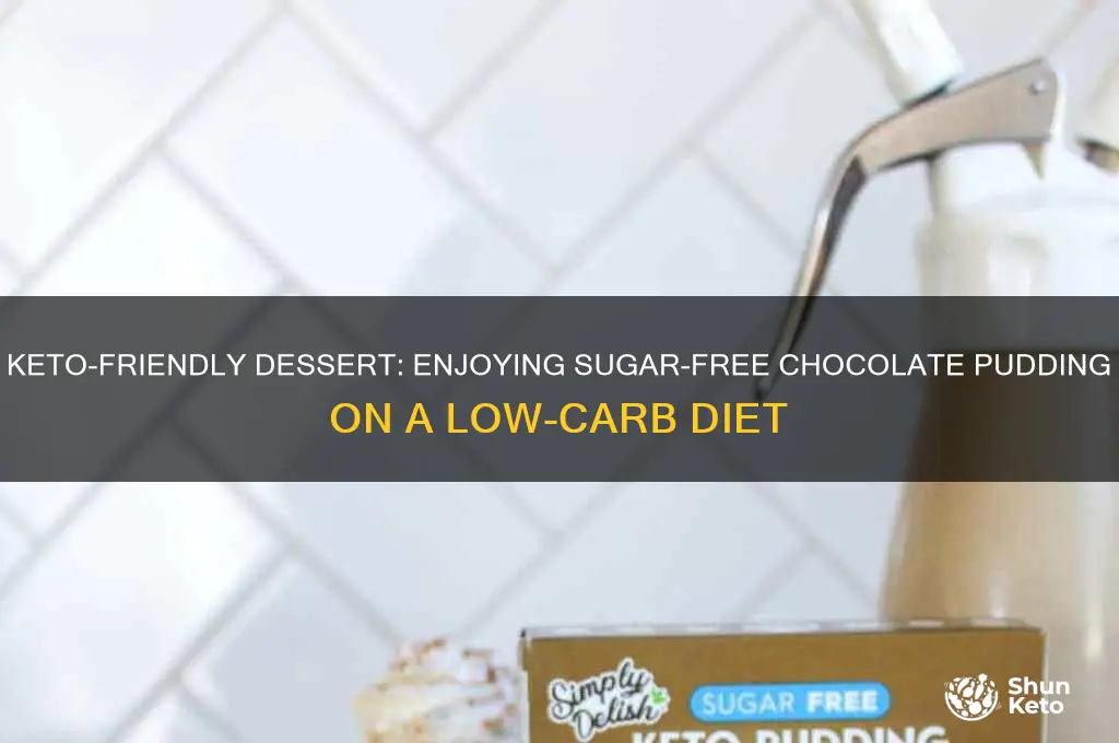 can i have sugar free chocolate pudding on keto