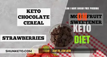 Sugar-Free Pudding on Keto: A Delicious Low-Carb Dessert Option
