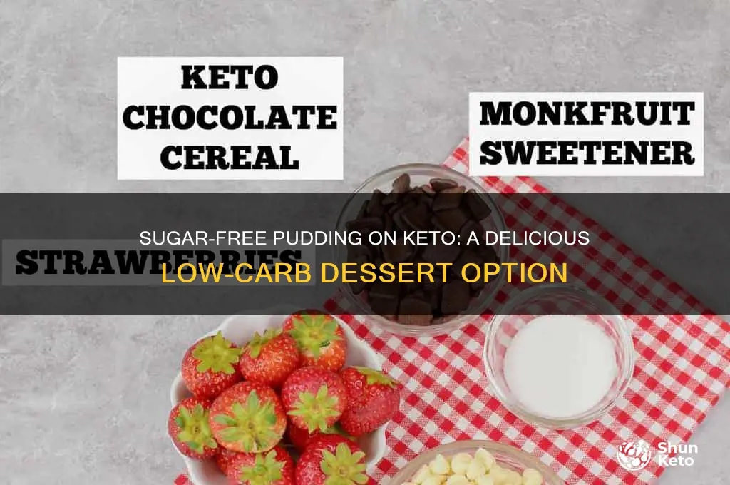 can i have sugar free pudding on keto diet