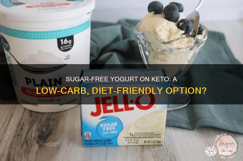 can i have sugar free yogurt on keto
