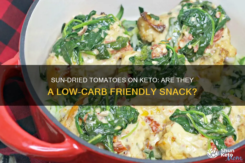 can i have sun dried tomatoes on keto diet