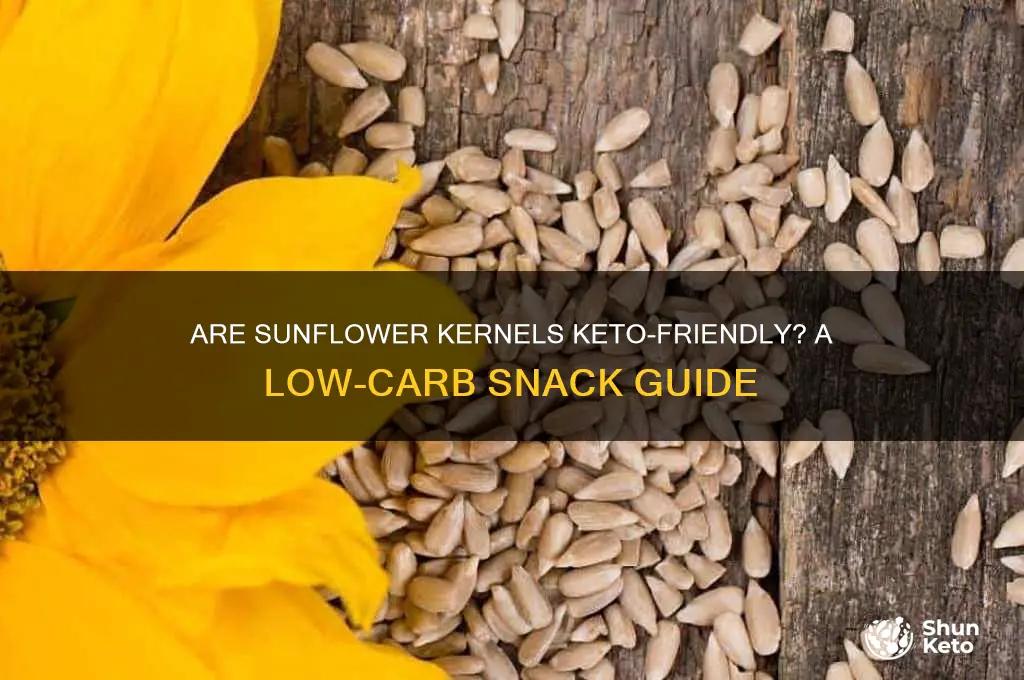 can i have sunflower kernels on keto