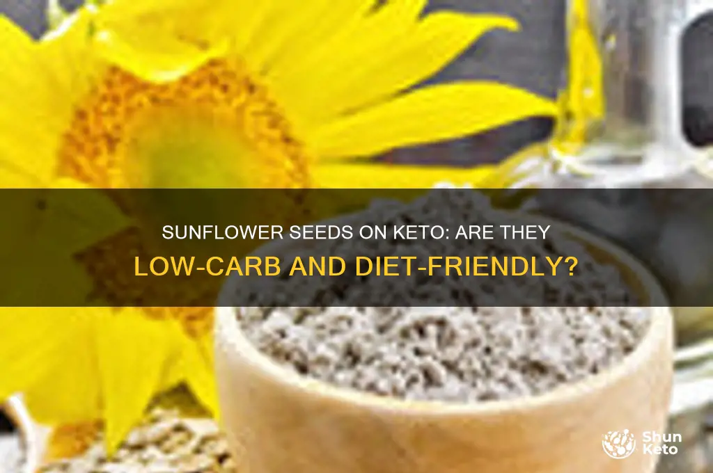 can i have sunflower seeds on keto diet