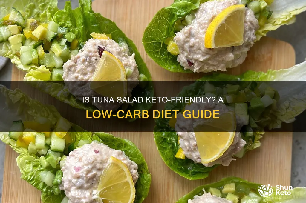 can i have tuna salad on keto diet