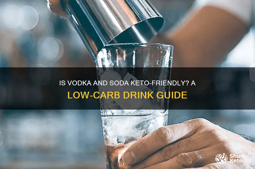 can i have vodka and soda on keto