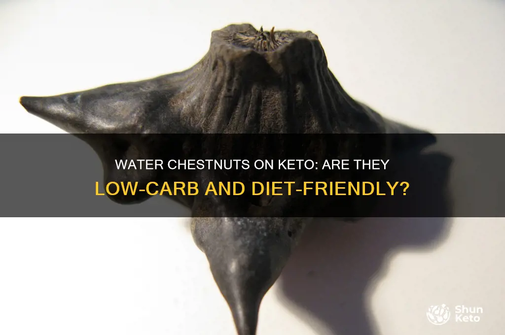can i have water chestnuts on keto