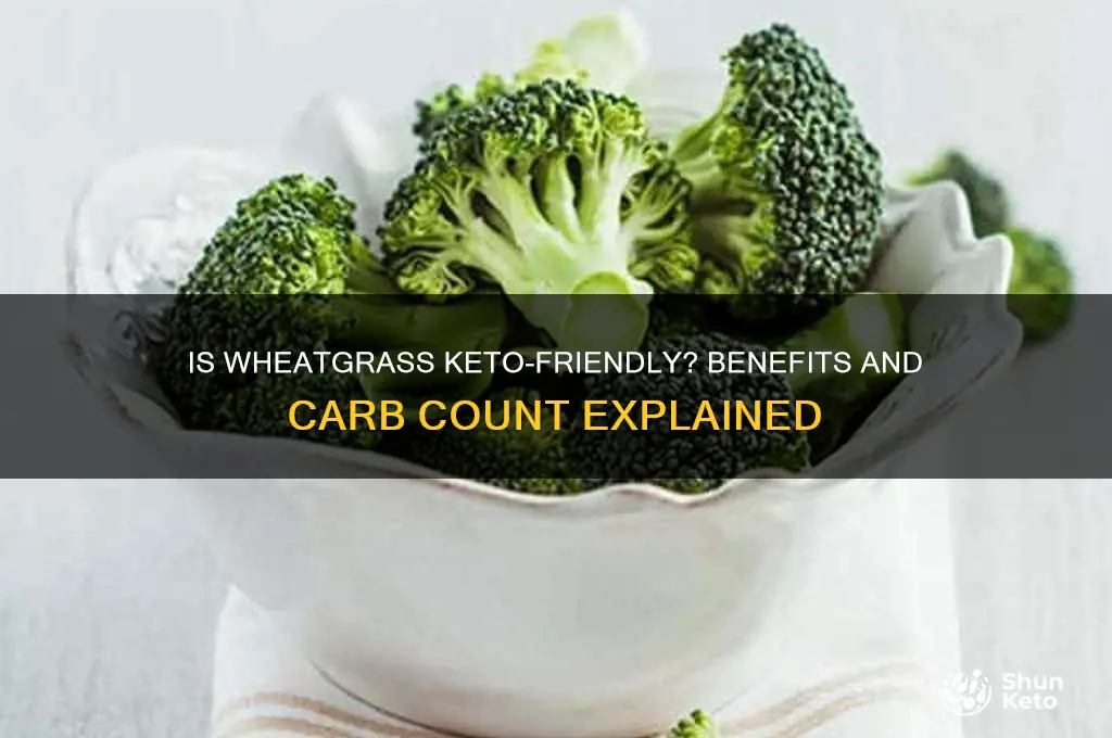 can i have wheatgrass on keto