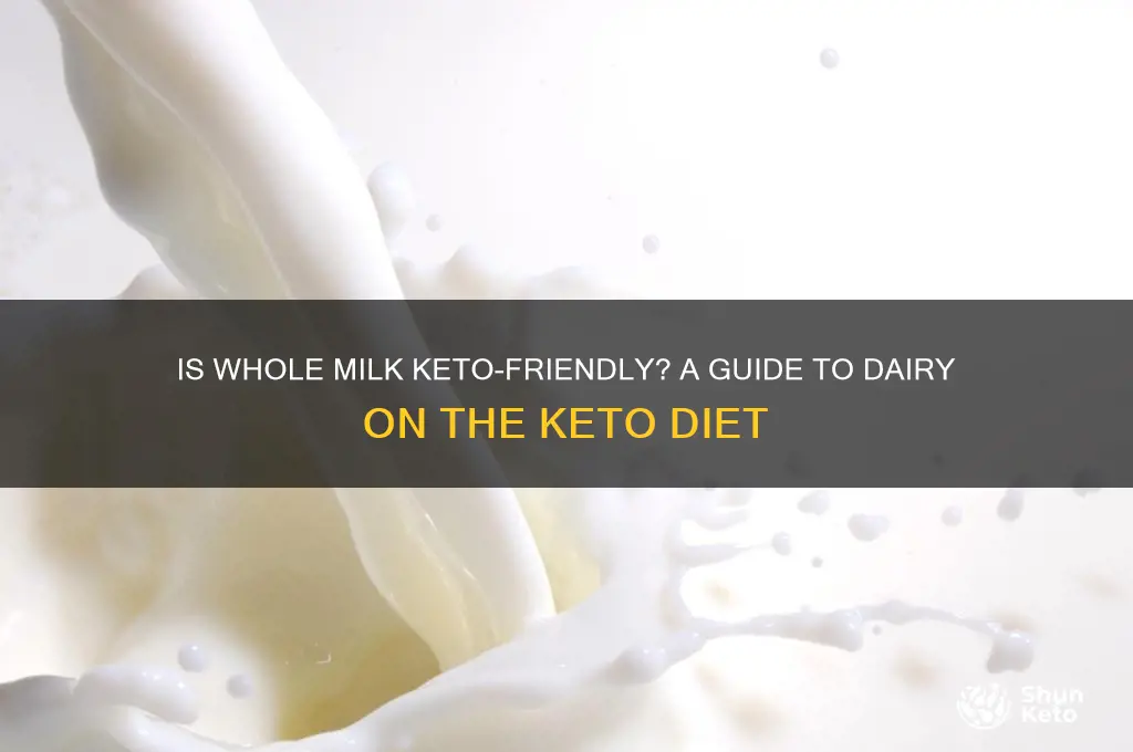 can i have whole milk on keto diet