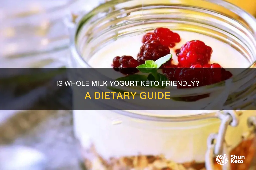 can i have whole milk yogurt on keto diet