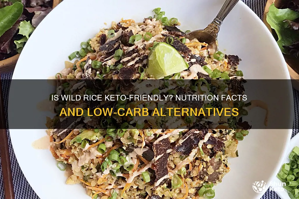 can i have wild rice on keto