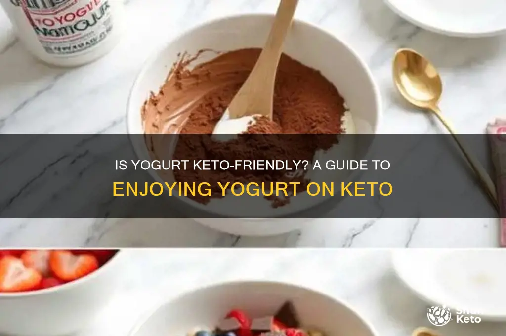 can i have yogurt for keto diet