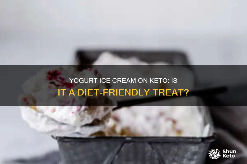 can i have yogurt ice cream on keto diet